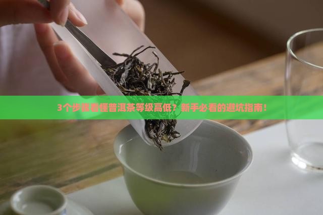 普洱茶等级高低