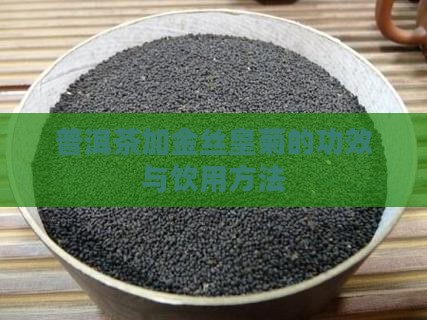普洱茶加金丝皇菊