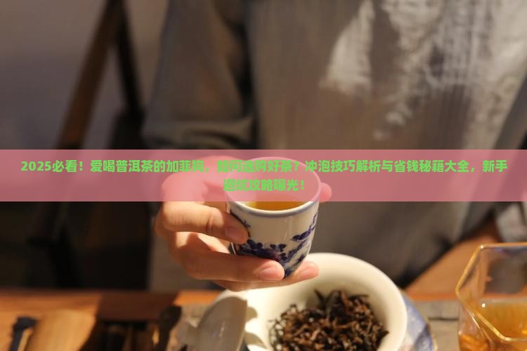 爱喝普洱茶的加菲狗