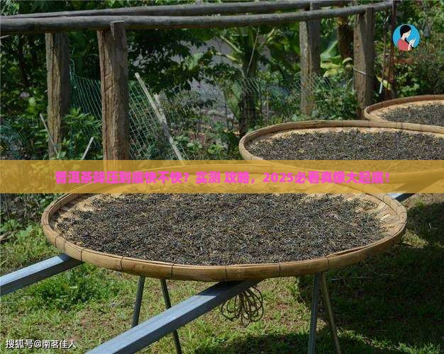 普洱茶降压药多久见效