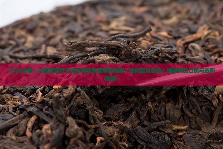 云南昆明竹子箐古树茶