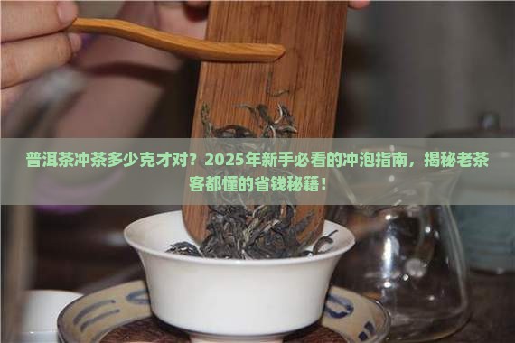 普洱茶冲茶多少克