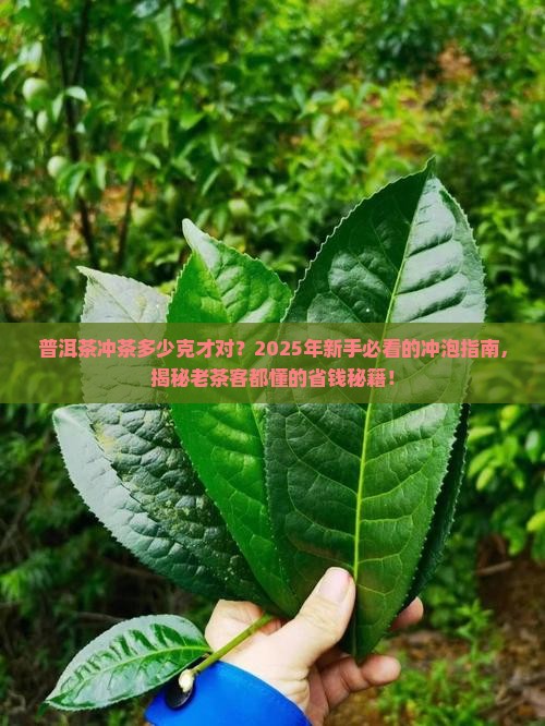 普洱茶冲茶多少克