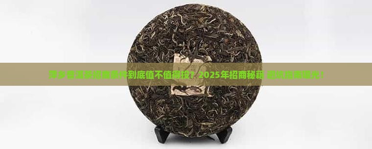 萍乡普洱茶招商条件怎么样