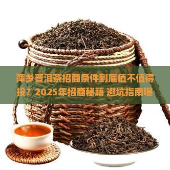 萍乡普洱茶招商条件怎么样