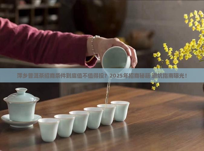 萍乡普洱茶招商条件怎么样