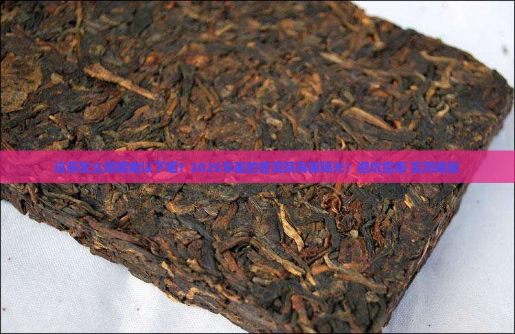 差的普洱茶是什么