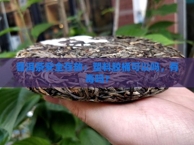 胶桶存普洱茶可以吗有毒吗