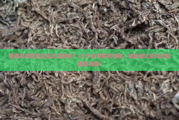 普洱茶景迈是生茶吗
