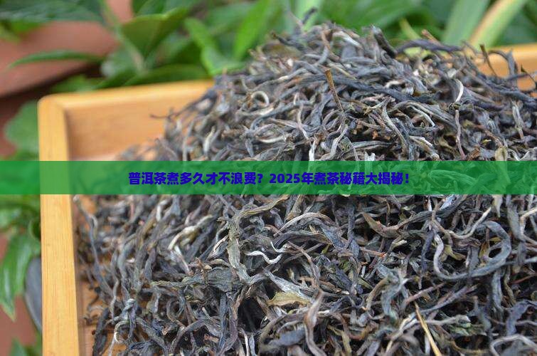 普洱茶煮多久才能吃