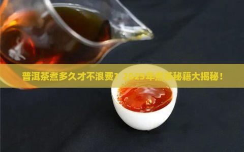 普洱茶煮多久才能吃