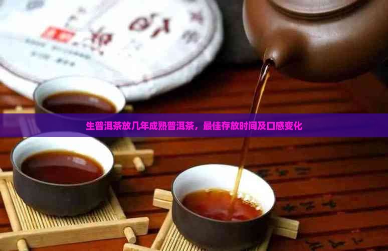 生普洱茶放几年成熟普洱茶