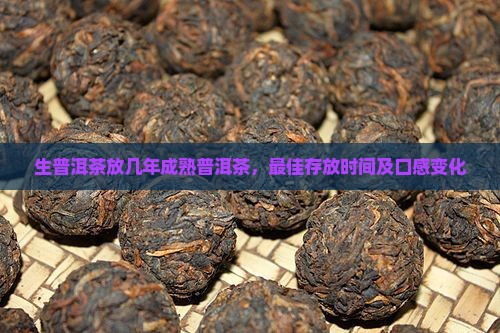 生普洱茶放几年成熟普洱茶