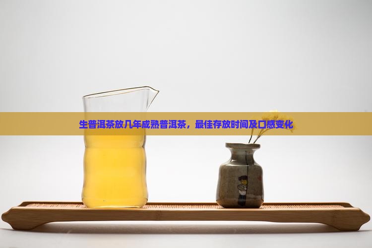 生普洱茶放几年成熟普洱茶