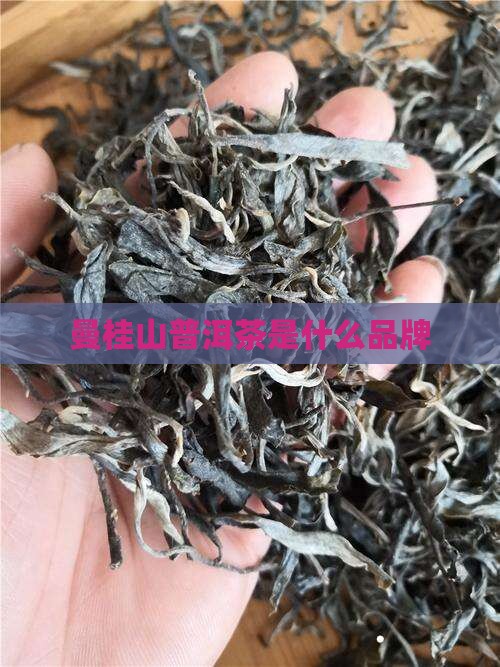曼桂山普洱茶是什么品牌