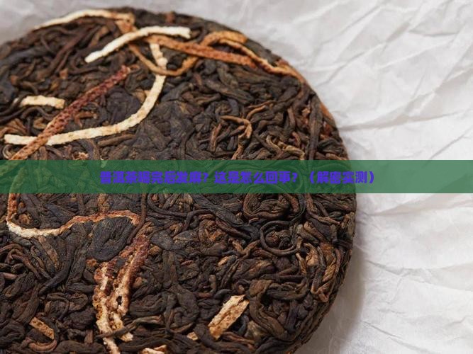 普洱茶喝完后发麻