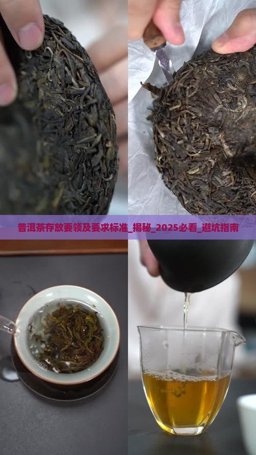 普洱茶存放要领及要求标准