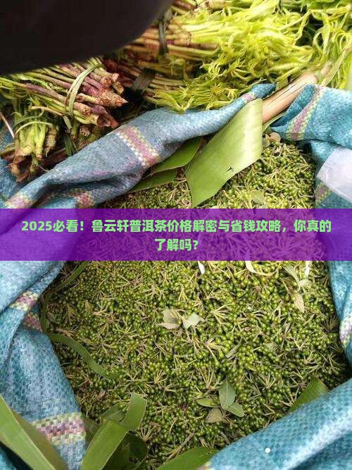 鲁云轩普洱茶价格