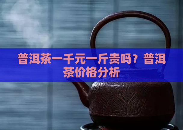 普洱茶一千元一斤