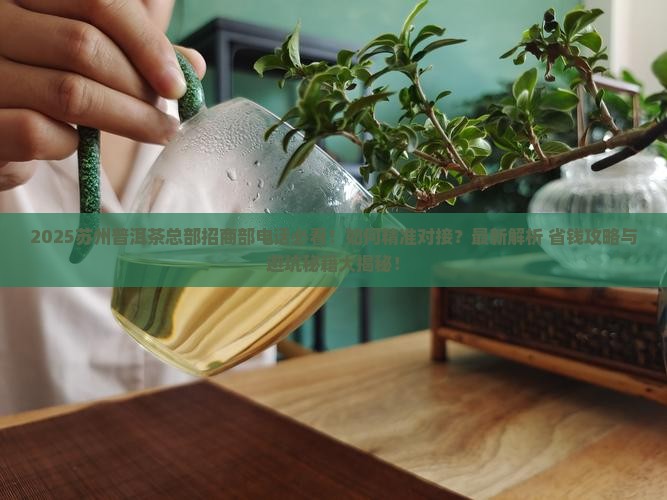 苏州普洱茶总部招商部电话