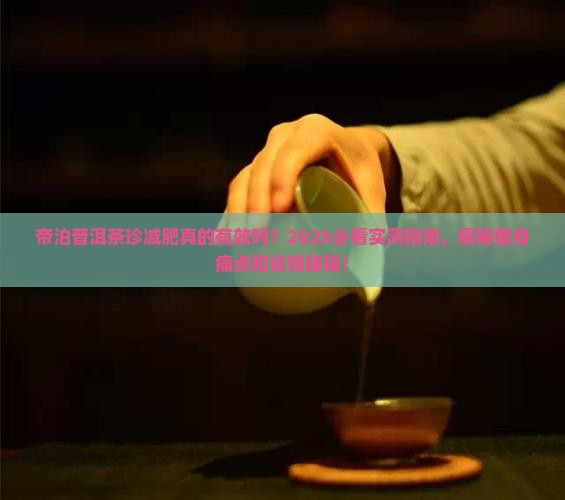 帝泊普洱茶珍减肥