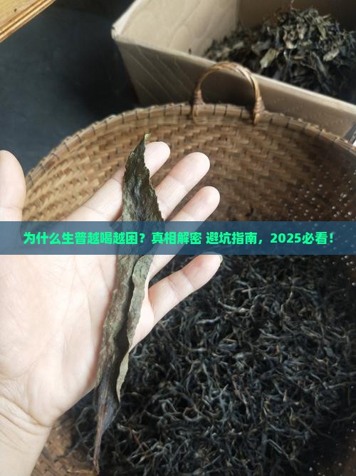 为什么生普越喝越困