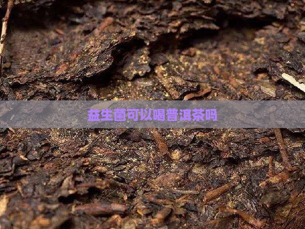 益生菌可以喝普洱茶吗
