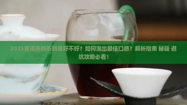 普洱茶新的好吗怎么泡才好喝