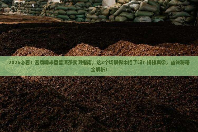 茗康糯米香普洱茶