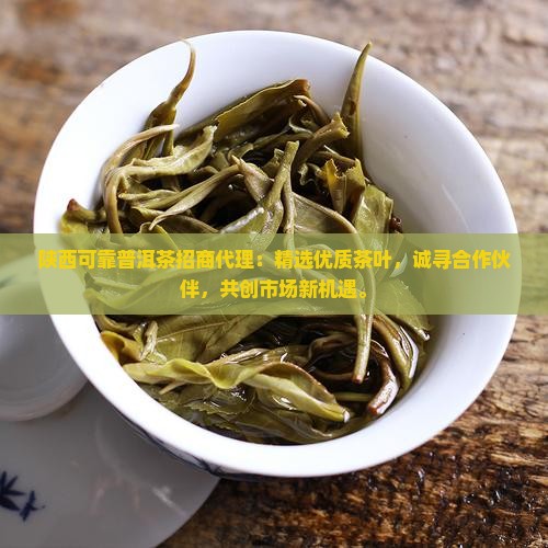 陕西可靠普洱茶招商代理