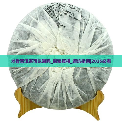 才者普洱茶可以喝吗