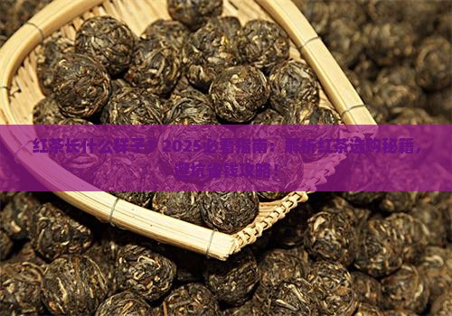 红茶长什么样子