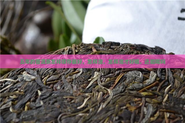 五年的普洱茶怎样