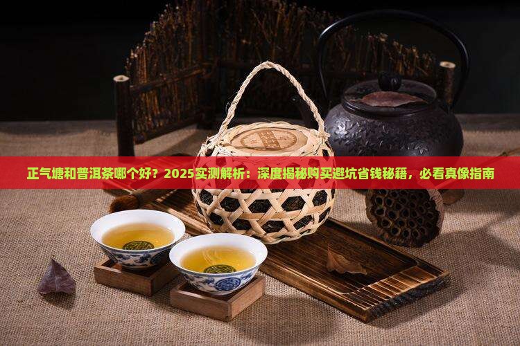 正气塘和普洱茶哪个好