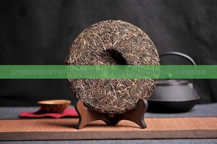 正气塘和普洱茶哪个好