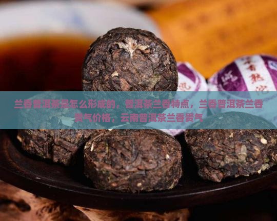 兰香普洱茶是怎么形成的