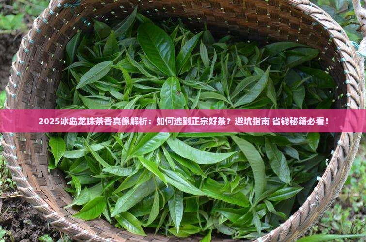 冰岛龙珠的茶香