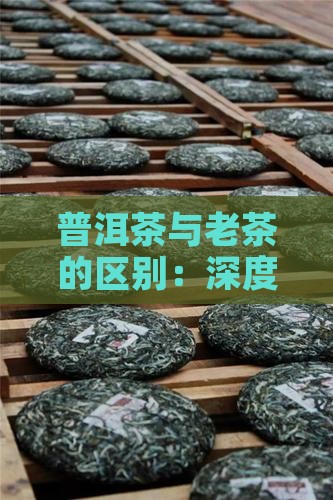老茶与普洱茶的区别