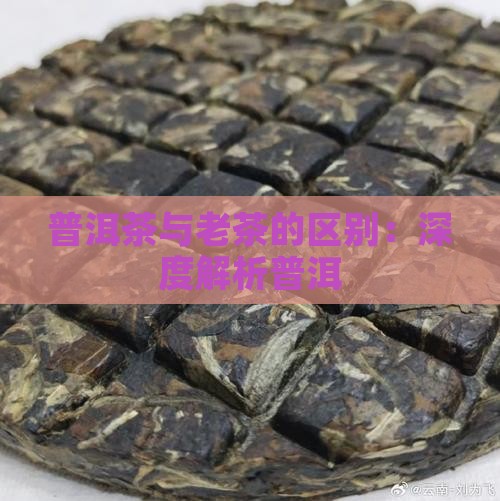 老茶与普洱茶的区别