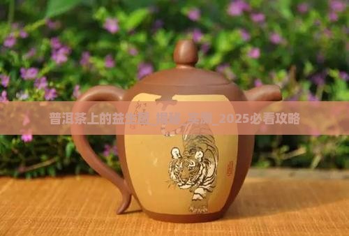 普洱茶上的益生菌