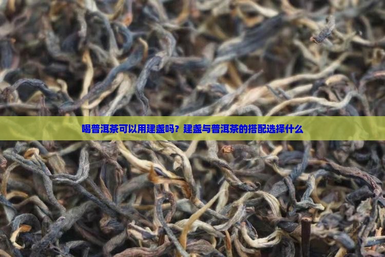 喝普洱茶可以用建盏吗