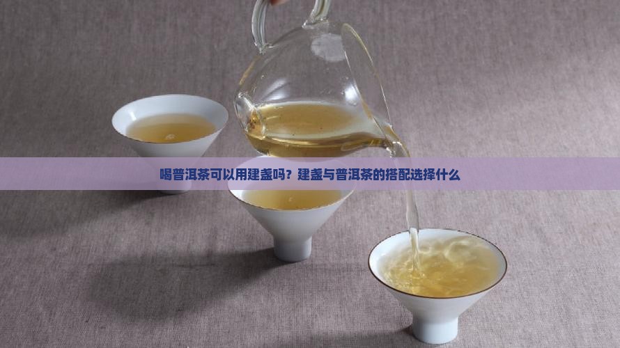 喝普洱茶可以用建盏吗