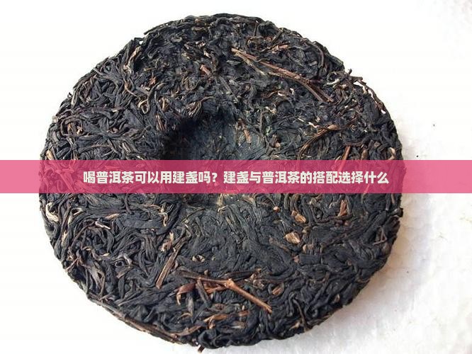 喝普洱茶可以用建盏吗