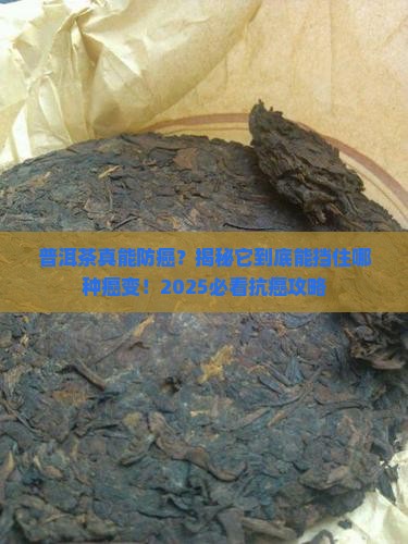 普洱茶可以预防哪种癌变