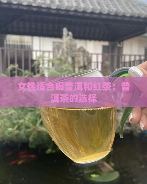 普洱茶红茶适合女人喝