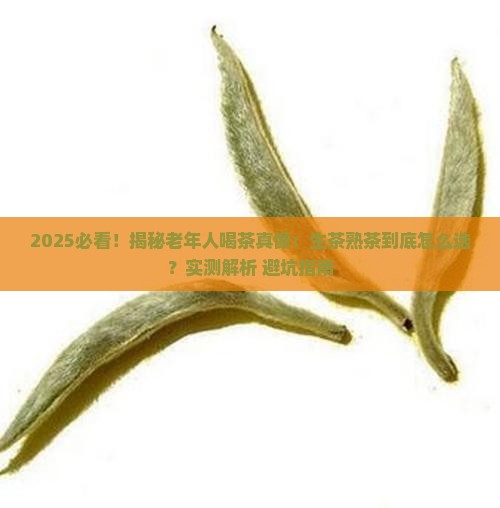 老年人适合喝生茶还是熟茶