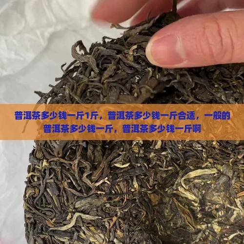 普洱茶多少钱一斤1斤