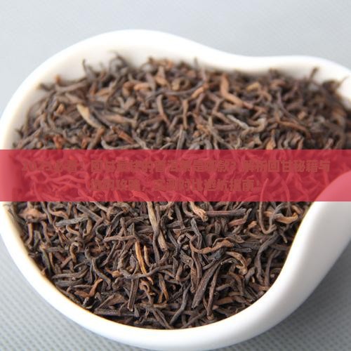 回甘最快的普洱茶