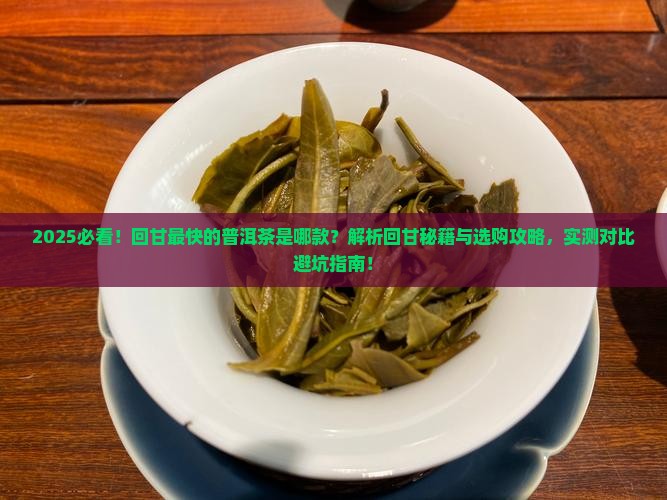 回甘最快的普洱茶
