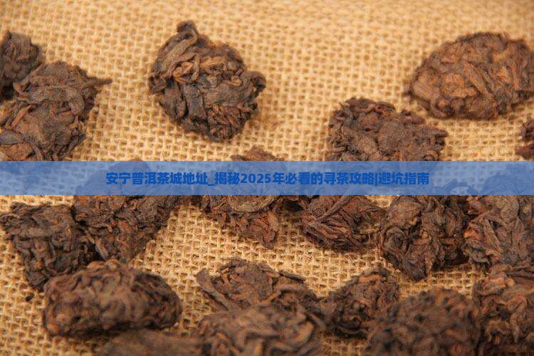 安宁普洱茶城地址